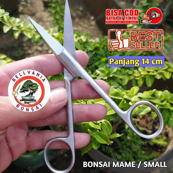 GUNTING PRUNNING BONSAI MAME 14CM