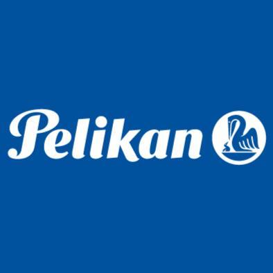 Handwritten Pen Shop X Pelikan Germany Fountain Pen