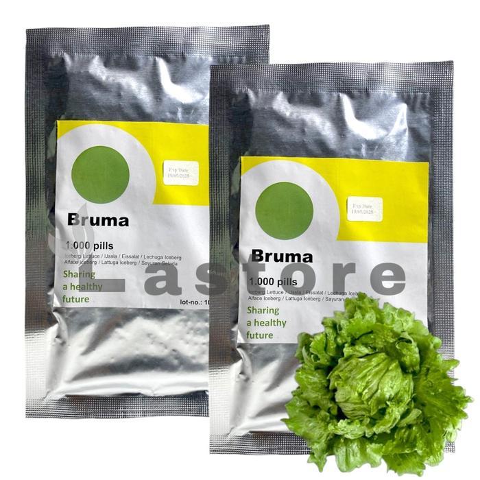 Benih Selada Bruma Rz Isi 1000 Pills Iceberg Lettuce Rijk Zwaan Populer
