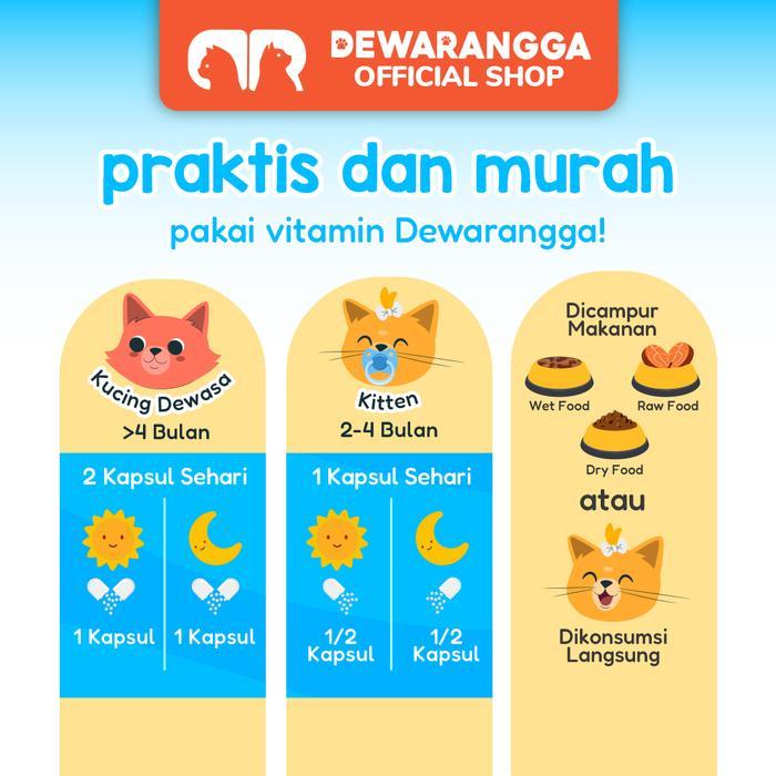 BIG CAT - VITAMIN NAFSU MAKAN & GEMUKIN - DEWARANGGA