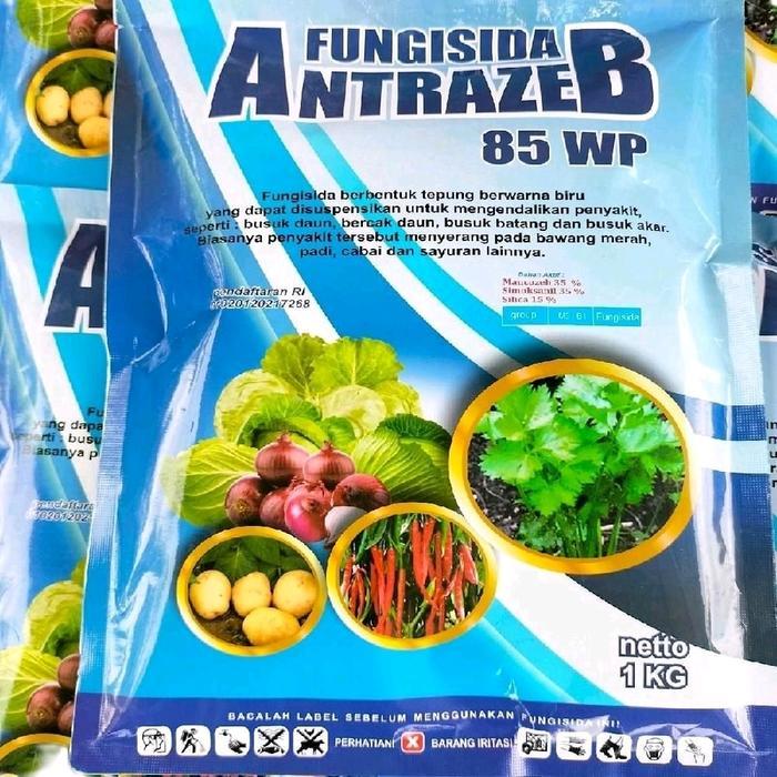 Fungisida Kontak Sistemik Antrazeb 85 Wp 1 Kg Mancozeb Biru Simoksanil Plus Silika Untuk Daun Cabai