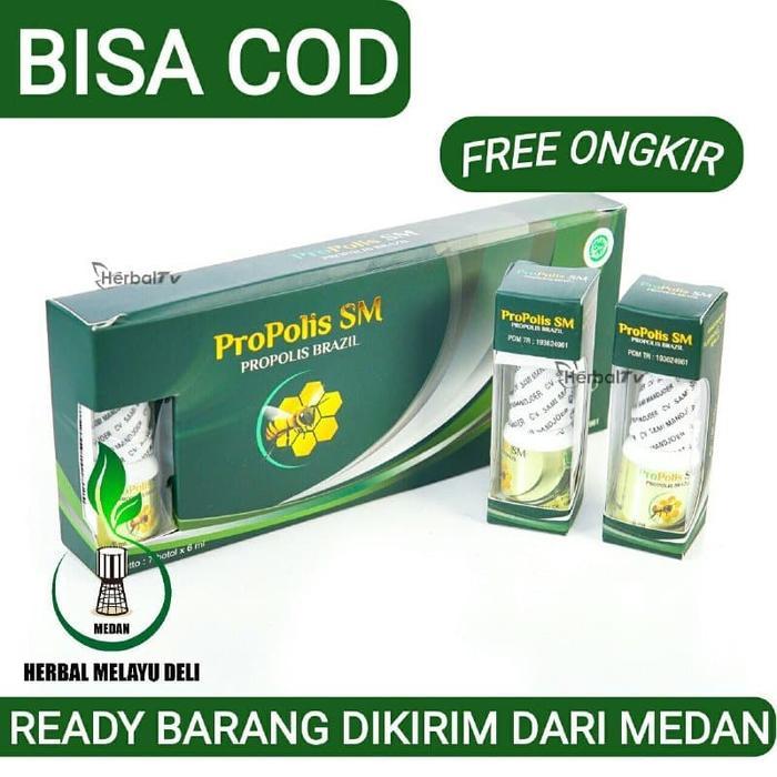 Obat Conge, Obat Telinga Bernanah, Obat Telinga Berair - PROPOLIS SM