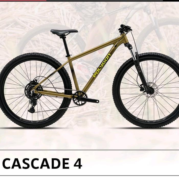 Polygon Cascade 4 MTB Bike New