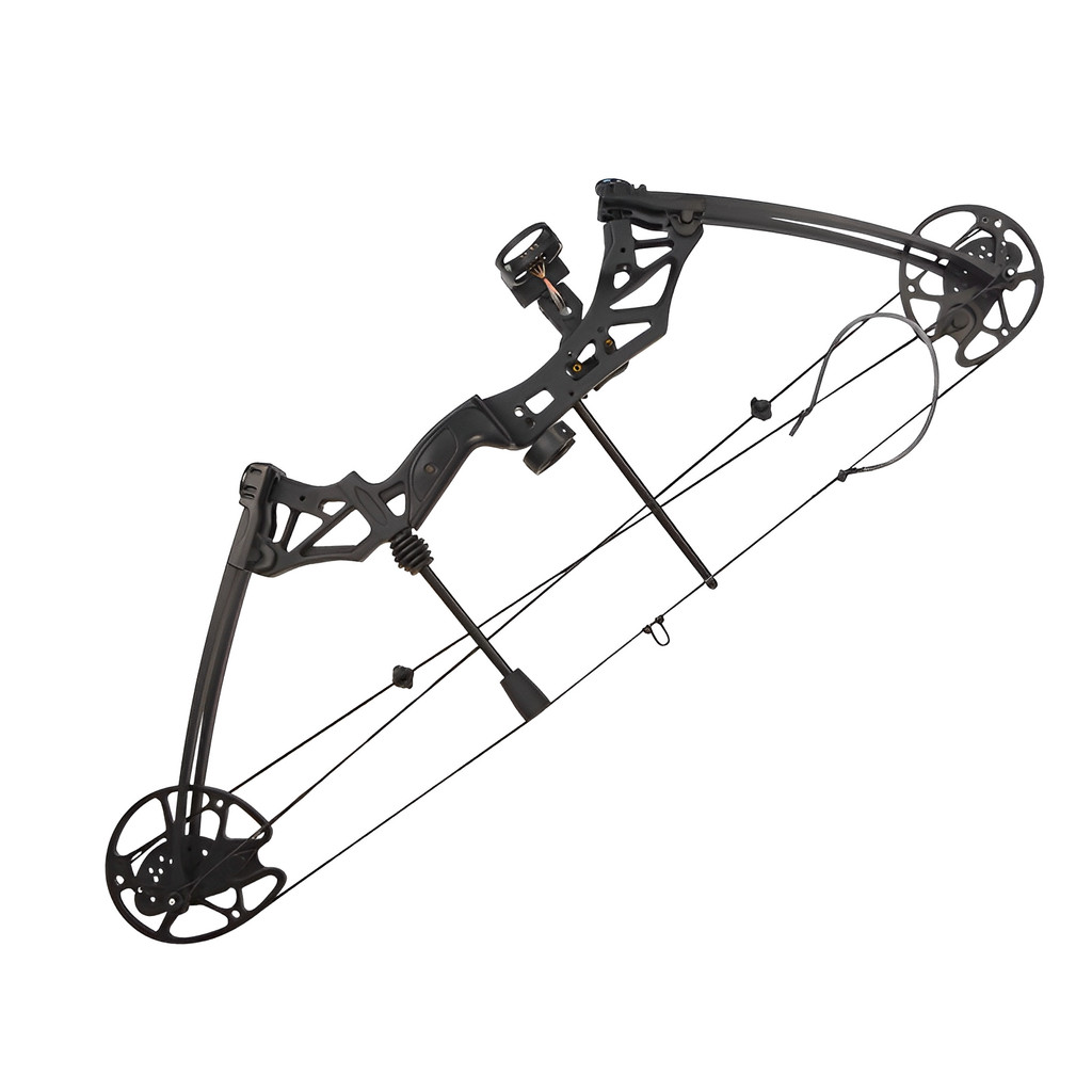 Right/Left Hand Compound Bow Set 30-70lbs Adjustable 320fps Archery Hunting Target Let-Off 80% Bow