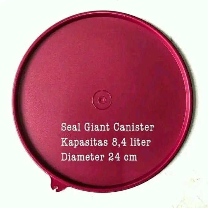 Seal Giant canister tupperware
