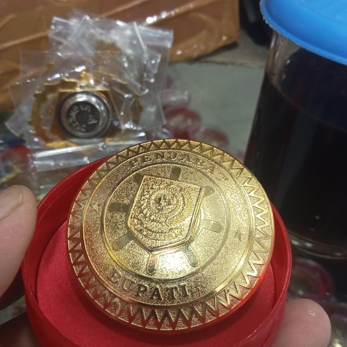 tanda jabatan penjabat bupati