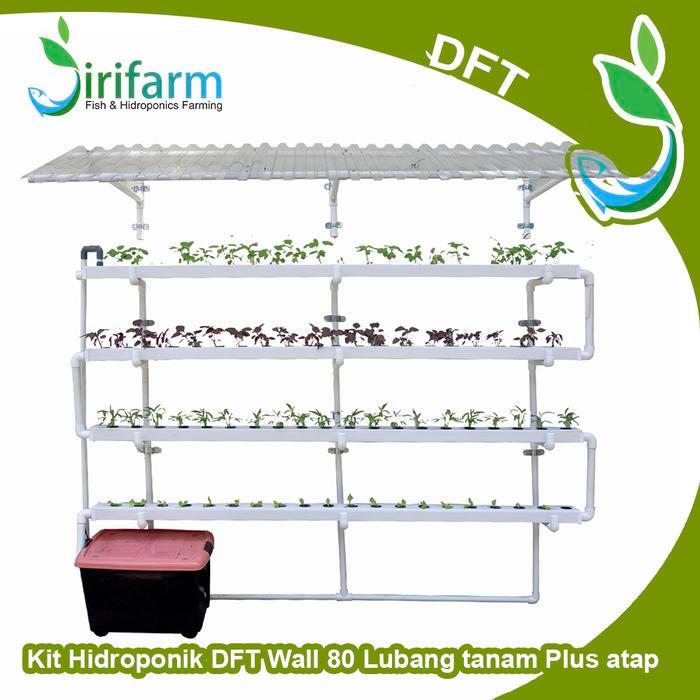 Paket Tanam Dinding Hidroponik DFT WALL 2 meter 80 Lubang Plus Atap
