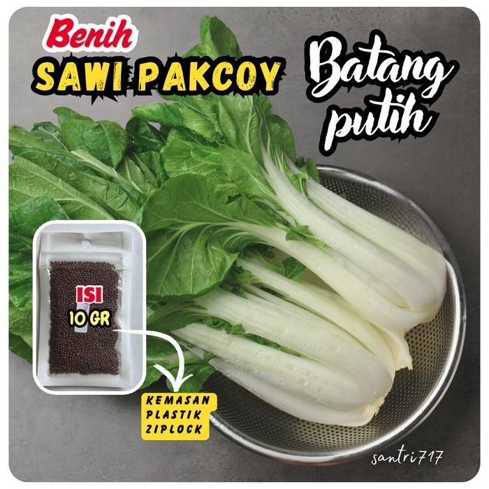 10gr benih sawi pakcoy batang putih