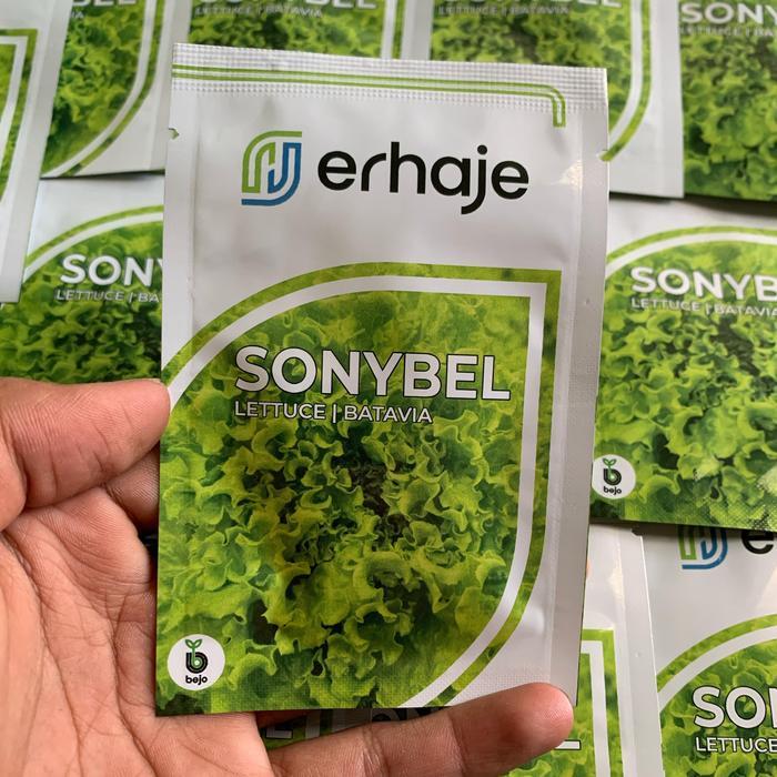 Najwa Gadget Benih Selada Batavia Sonybel Bejo Seed
