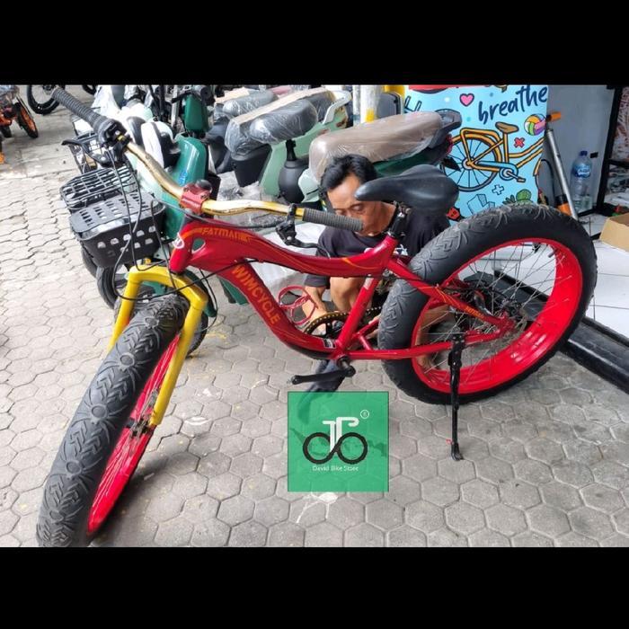 Sepeda Fatbike 26" Wimcycle Fatman (seken)