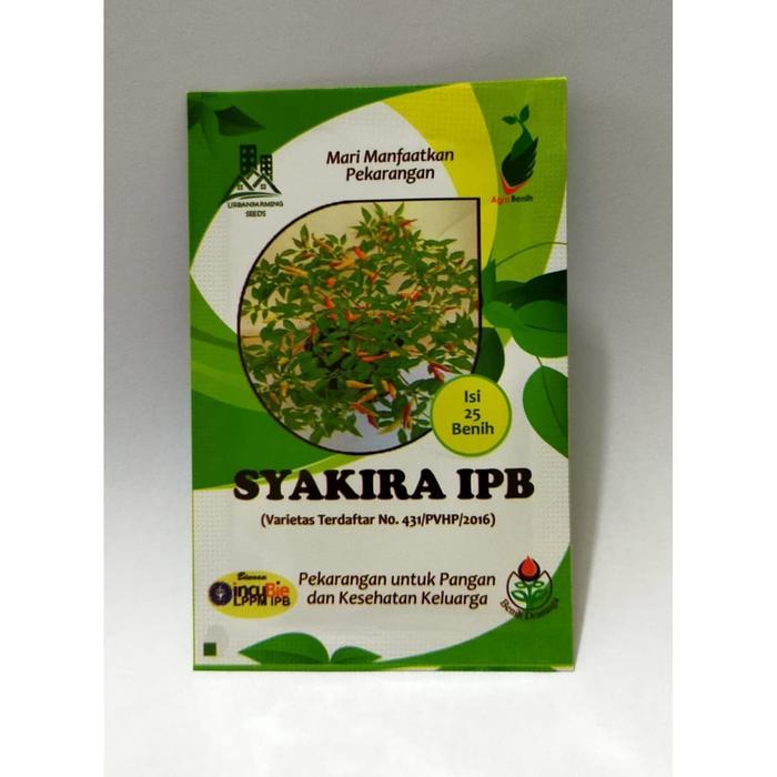 BENIH CABAI HIAS SYAKIRA IPB