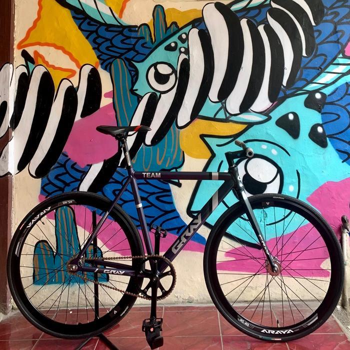 Frameset Gray Team Polos Alloy Fixie