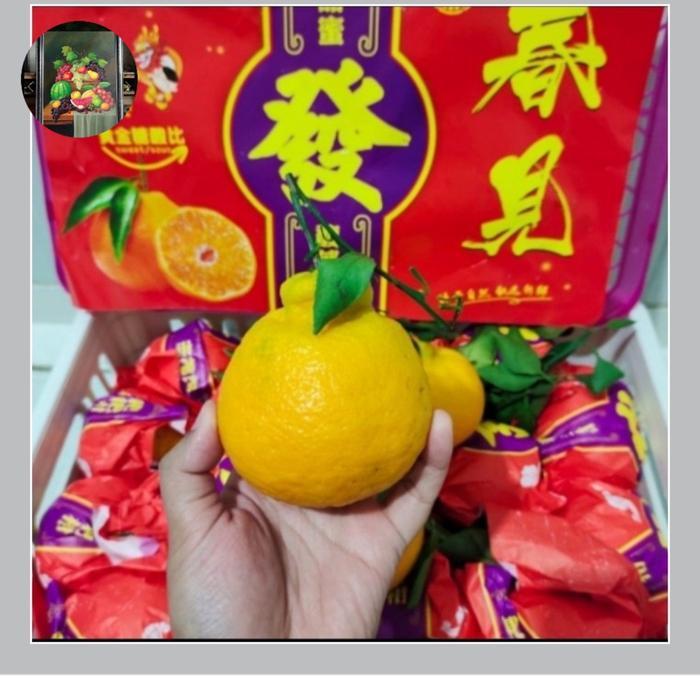 Buah segar jeruk dekopon buah papakan 1 keranjang manis