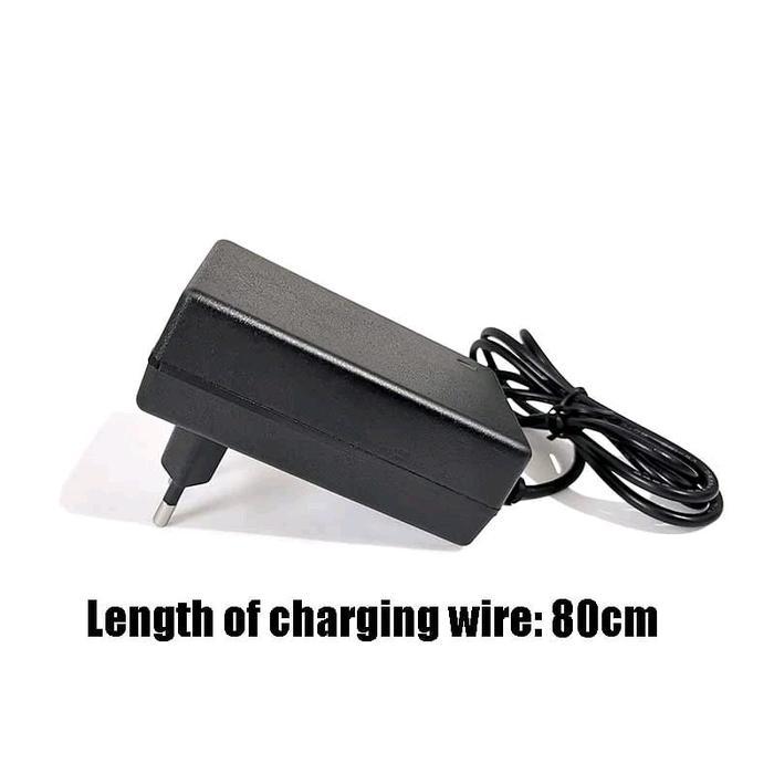 charger bor charger impact charger gerinda 16.8V 20V 21V 24V 25V 32V 36V 42V 48V 88V 98V 99V 1A