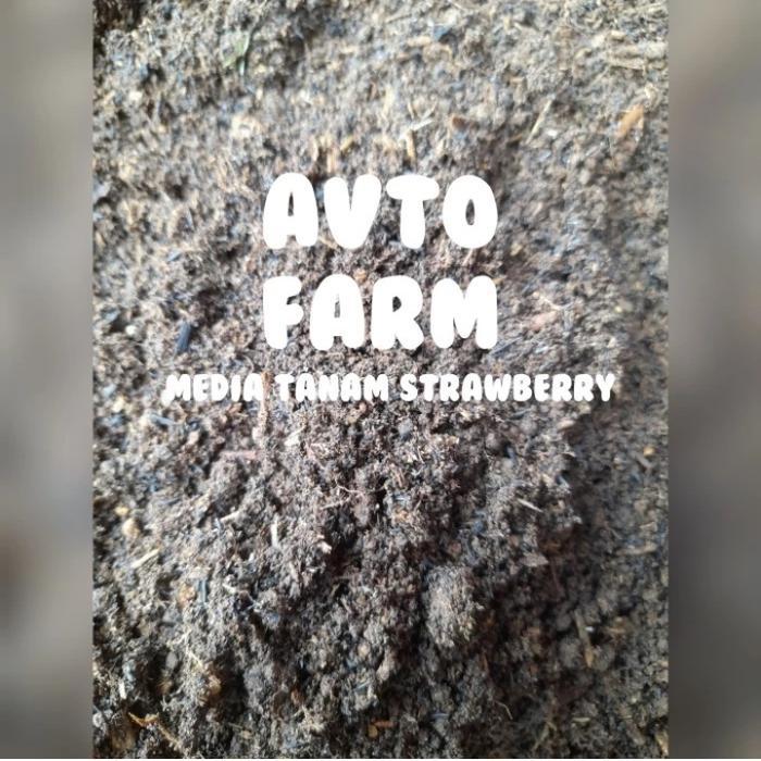 media tanam strawberry siap pakai -5kg