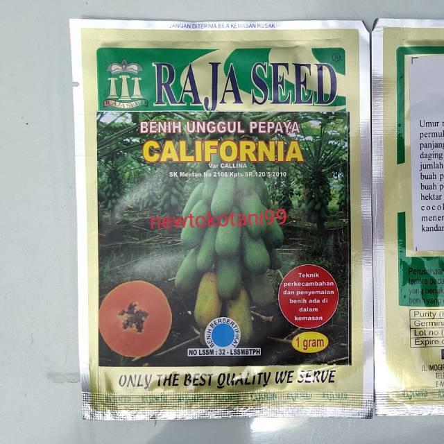 Benih pepaya california 1 gr benih kates raja seed
