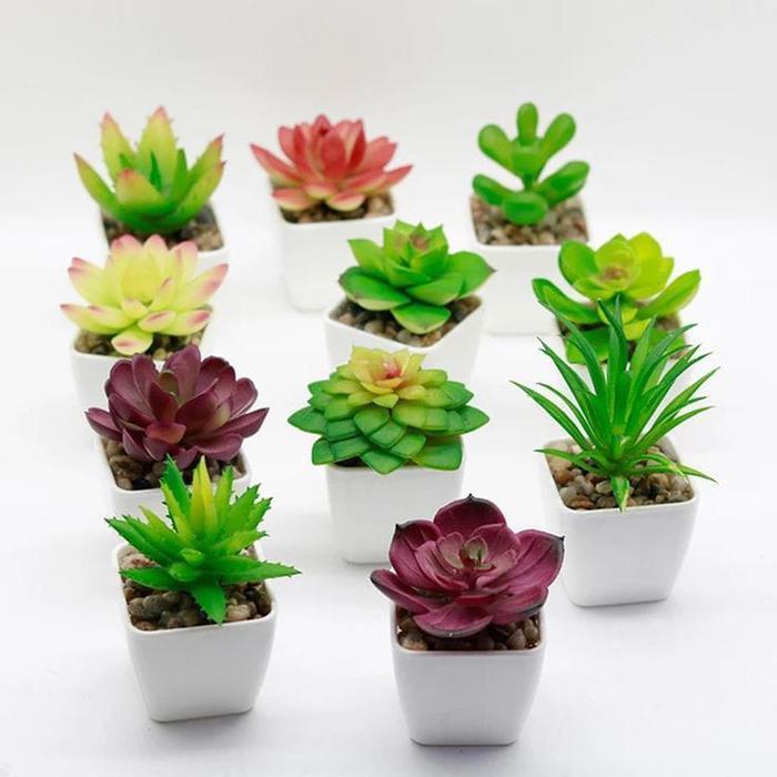 "New" kaktus latex kaktus SUKULEN bunga plastik artificial dekorasi rumah