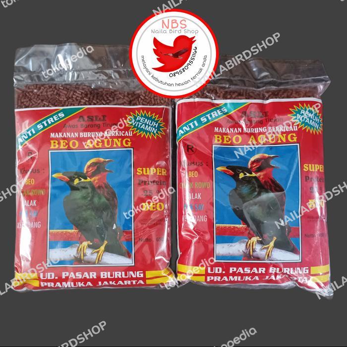 BEO AGUNG PAKAN BURUNG BEO