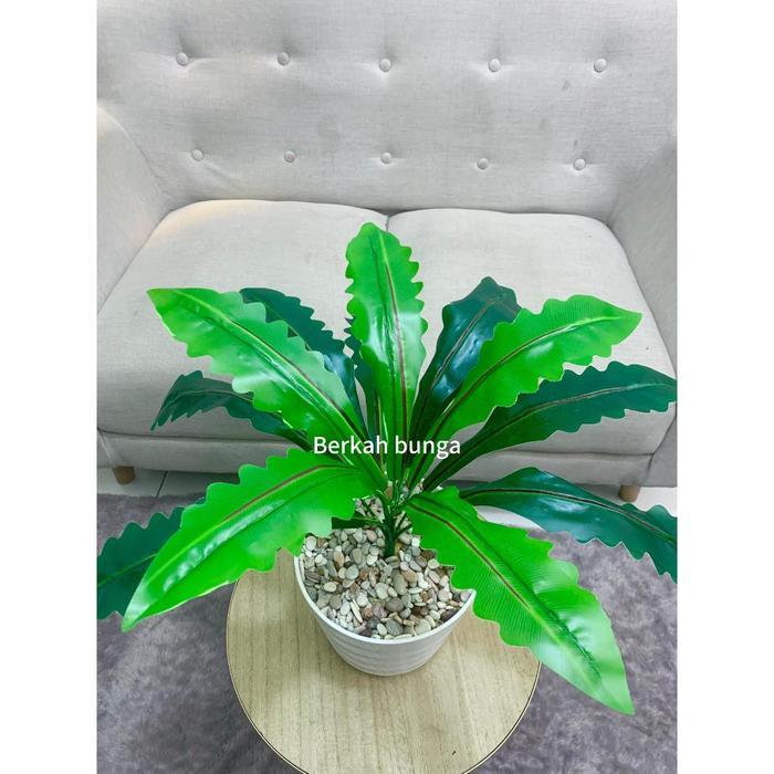 Tanaman Hias Plastik Daun Gelombang Cinta Varigrata Artificial Jumbo 18 Cabang Hiasan Dekorasi