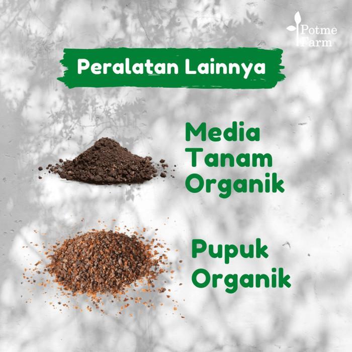 Media Tanam Tanah Organik Premium Siap Pakai