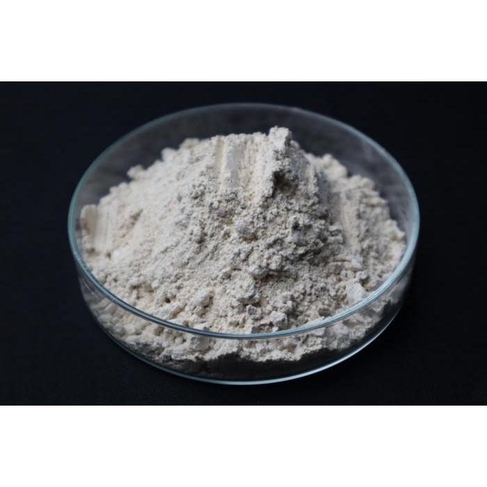 PROBIOTIK UNTUK IKAN DAN UDANG - BACILLUS - 500 GR