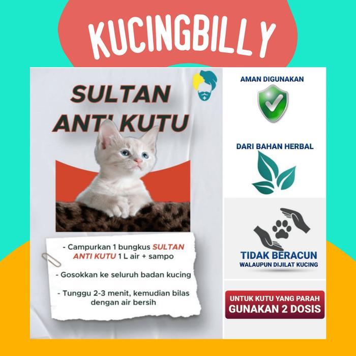 Sultan obat anti kutu kucing obat kutu ampuh