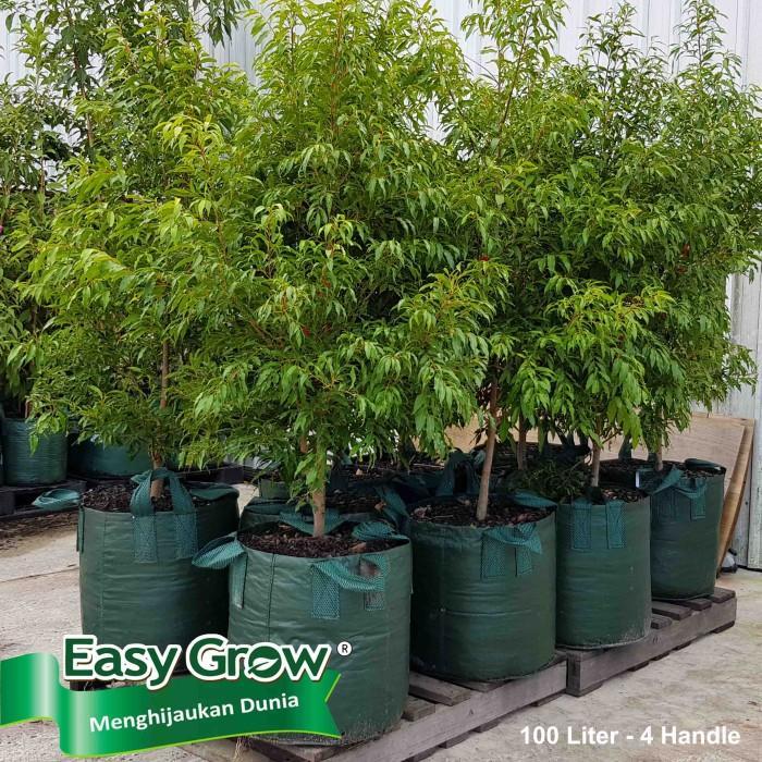 Planter Bag Easy Grow 100 Liter