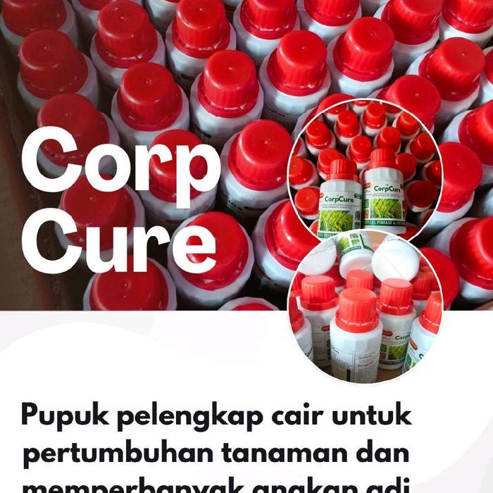 "New" CORPCURE OBAT HAMA AMPUH 100% UNTUK ATASI HAMA PADI DAN MELEBATKAN BUAH PADI MENGANDUNG ZPT