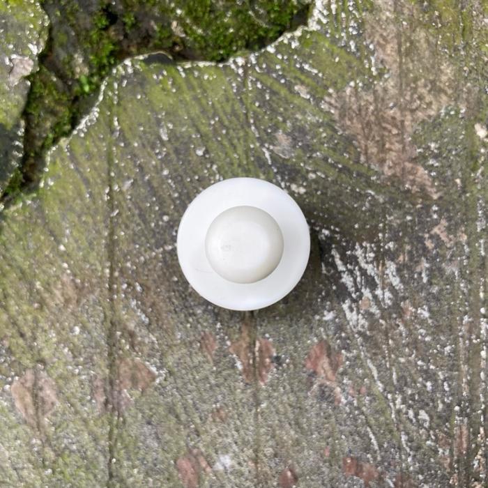 Guide Rear Bumper Location Clip Klip Kancing Dudukan Bemper Belakang Soluna Corolla Ae111 All New