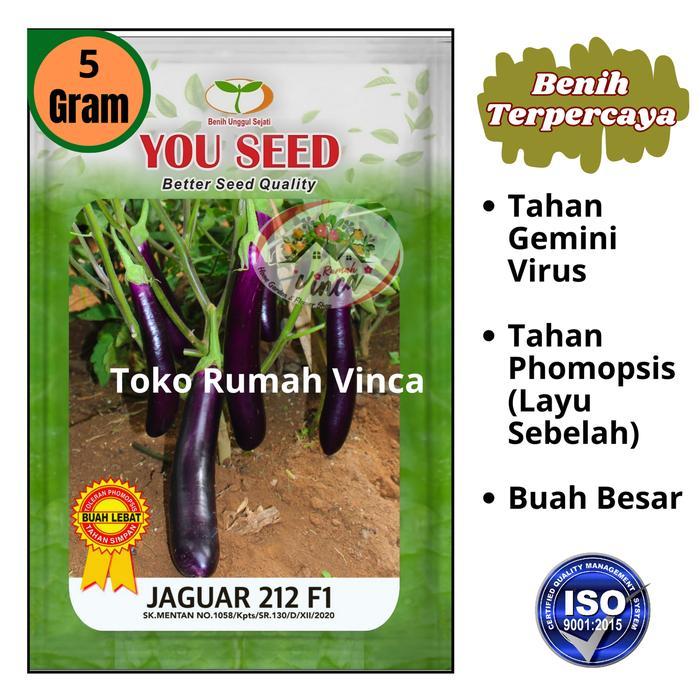 Bibit Benih Tanaman Terong Ungu JAGUAR 212 F1 5g Cap Youseed Tahan Virus
