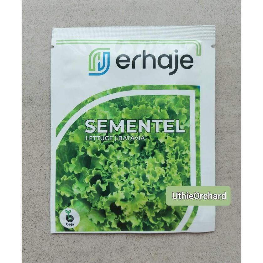 Benih Bejo Seed - Selada Batavia Sementel Kemasan 1000 pills