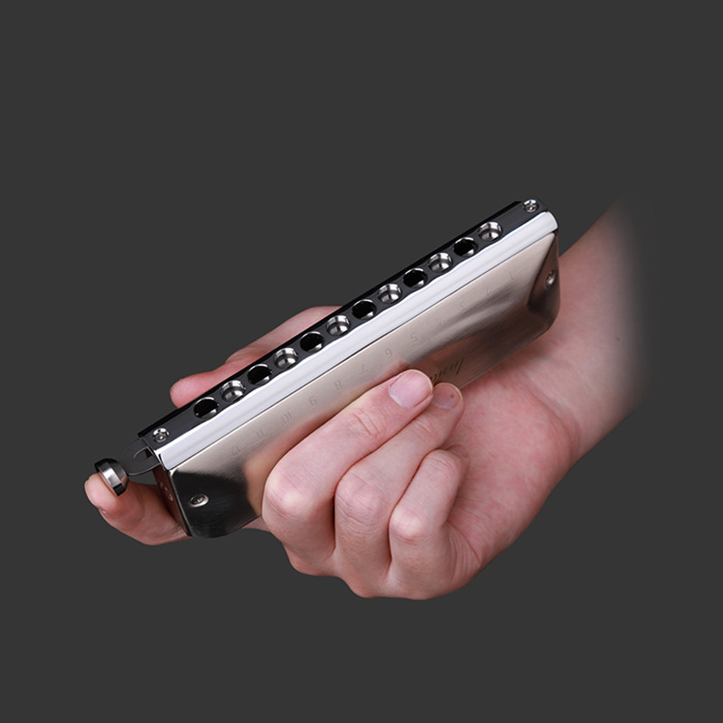 JDR Luna Chromatic Harmonica C Key Armonica 12-Hole 48 Tones Chromatic Mouth Organ Harp Palladium