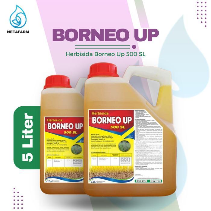 HERBISIDA BORNEO UP 500 SL PEMBASMI ANEKA GULMA - 5 LITER