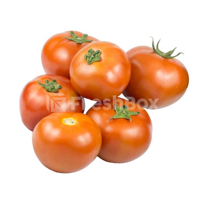 Tomat Beef Hidroponik 1 Kg FreshBox