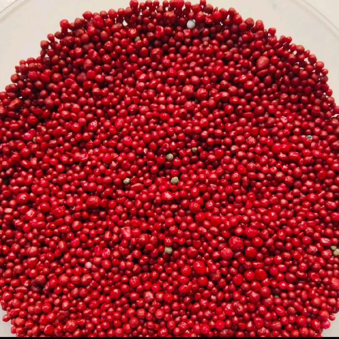 "New" Pupuk Osmocote Merah 19-10-13 - 1kg Slow Release Fertilizer Aglonema,Bonsai