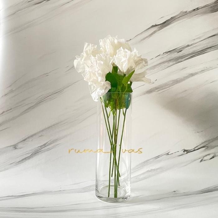 VAS BUNGA KACA TINGGI 30 CM DIAMETER 10 CM POT BUNGA TABUNG KACA BEST