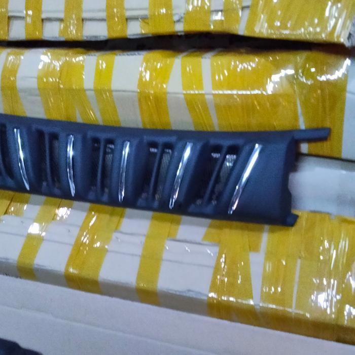 Grill Ignis Model Apollo