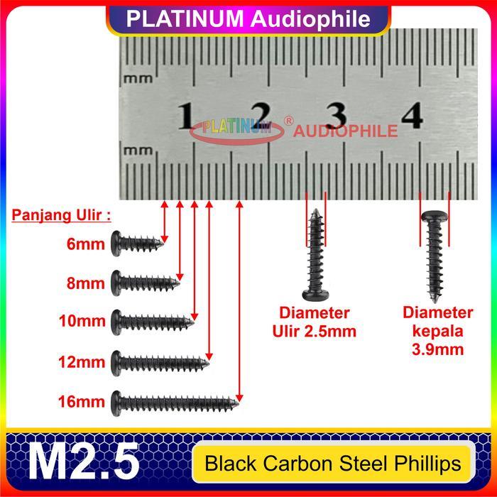 "New" Sekrup Hitam M2.5 100pcs Speaker Baut Skrup kasar lancip tajam Carbon Steel
