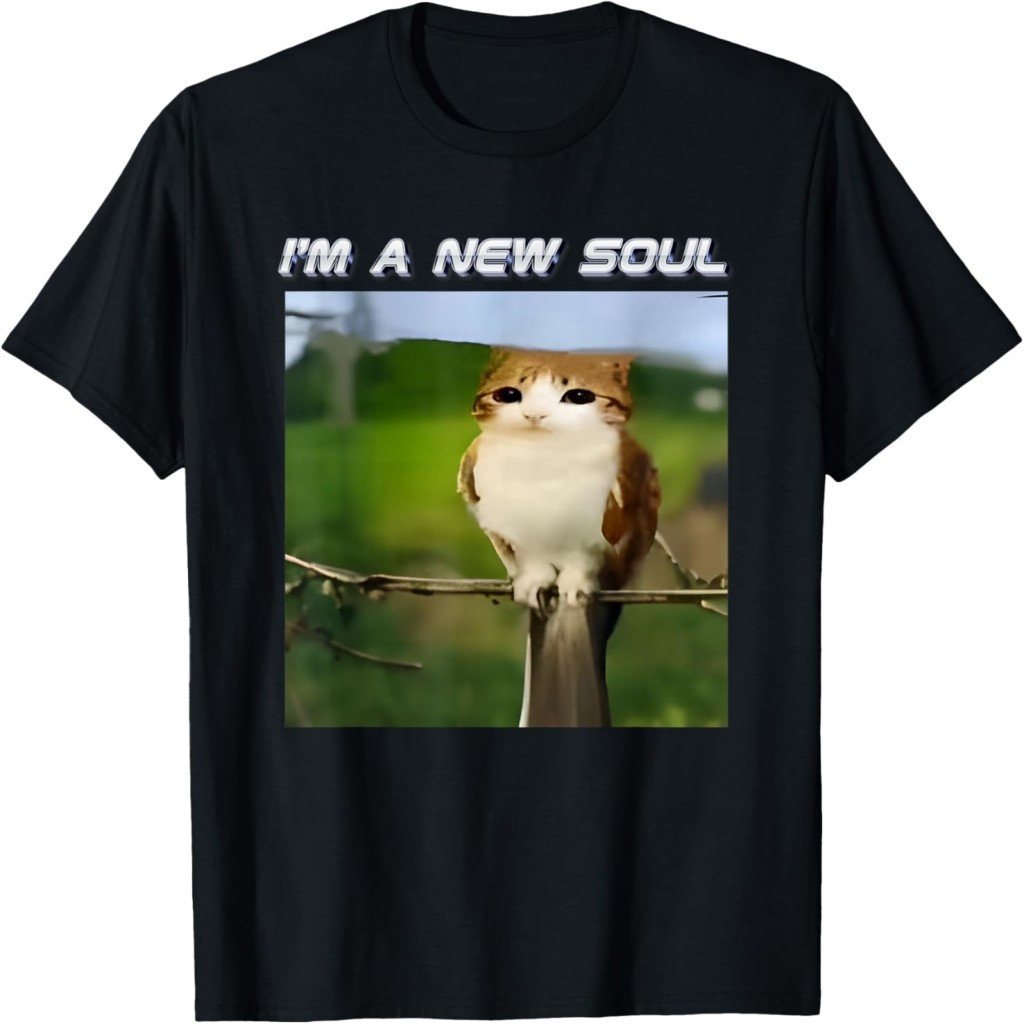I'm A New Soul Meowl Cat Owl Meme Brainrot Memes Cursed Meme T-Shirt