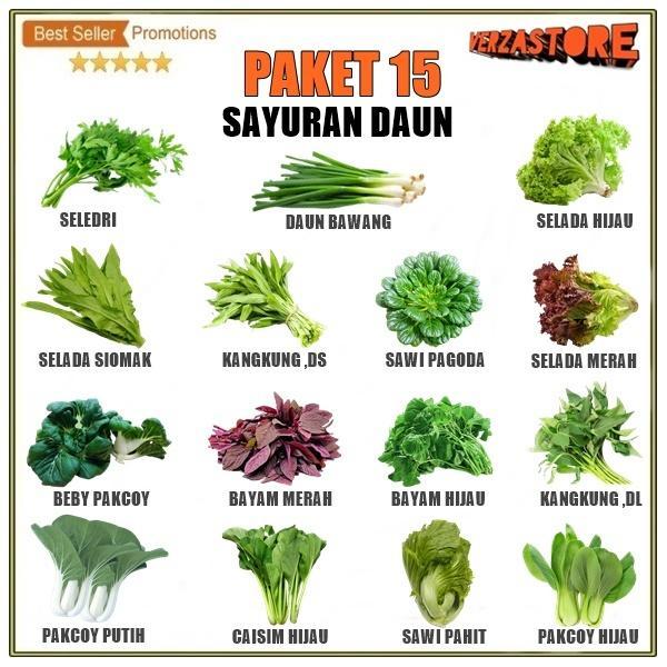 Paket Hemat 15 Macam Bibit Sayur Hidroponik Sayuran Daun Unggul