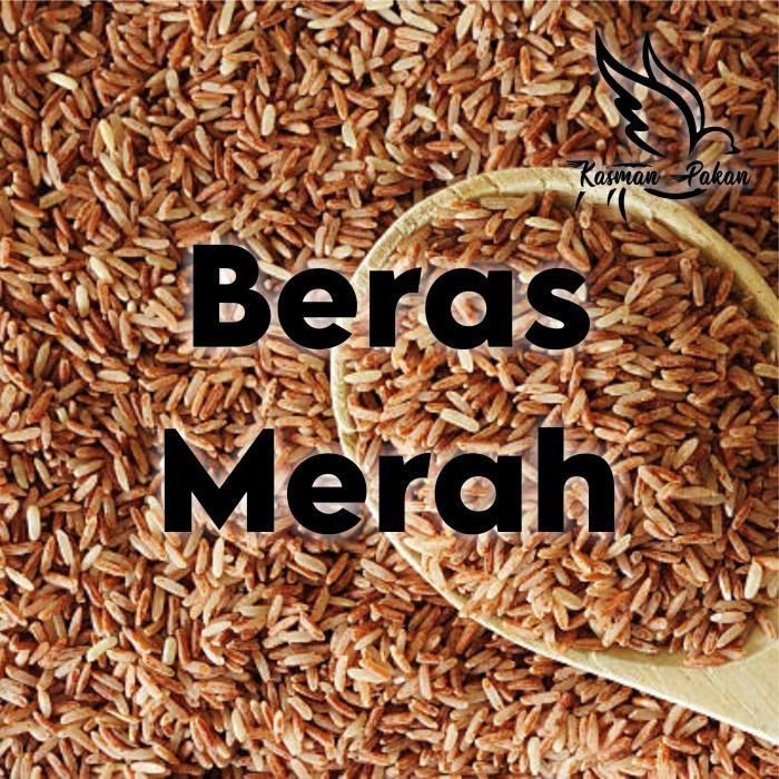 Beras Merah Pakan Burung Ayam