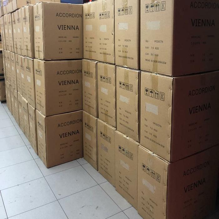 ACCORDION VIENNA/AKORDION 34/48 /ACCORDION/ACORDION - CDEL