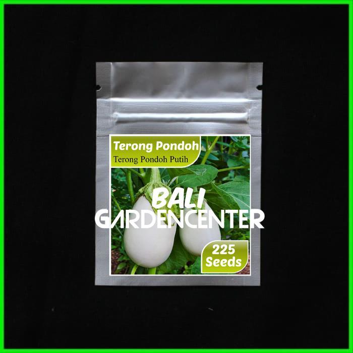 BENIH BIJI TERONG PONDOH PUTIH - TERONG PONDOH PUTIH
