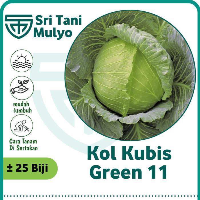 Sale Terlaris 25 Biji - Benih Sayur Sayuran Kol/Kubis Kolbis (Mudah Tumbuh) Bibit / Benih Sayur
