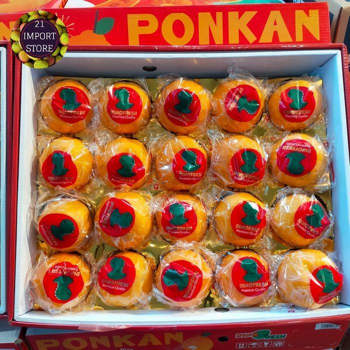Jeruk Ponkam Dino Fresh Super Manis Buah Jeruk Ponkam Gift Box Isi 20 Pcs 1 Box