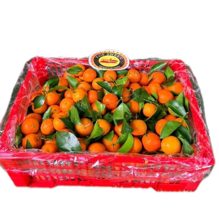 Jeruk Santang Jeruk Mandarin Jeruk Kecil Yumsun 6kg