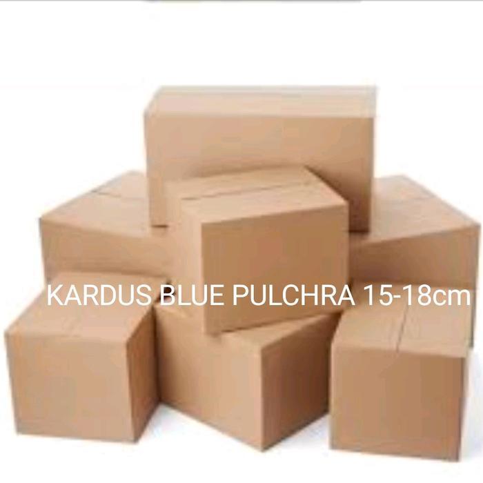 Mainan Blue Pulchra 7 cm dengan Packing Aman Kardus