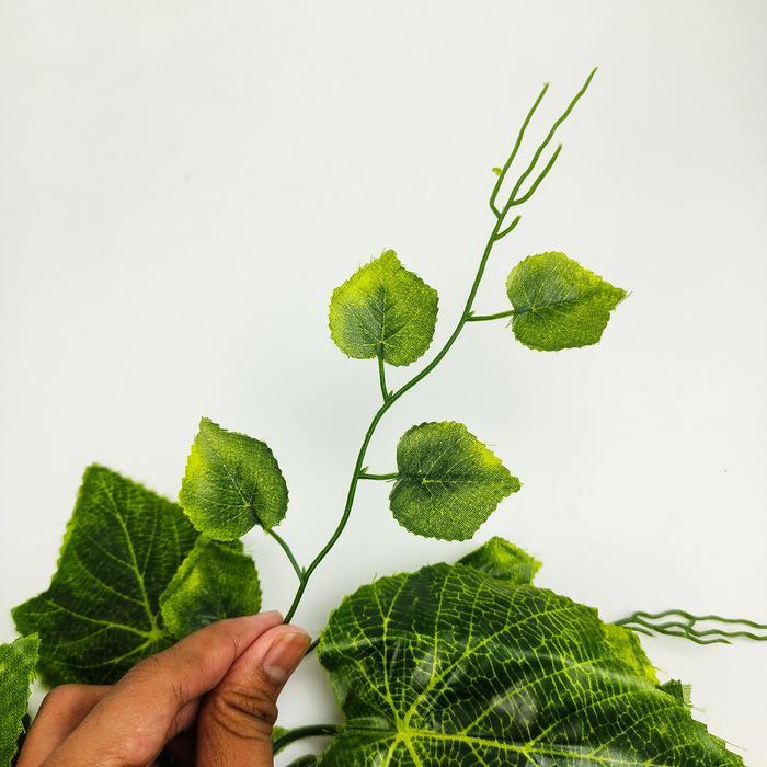 "New" COD DAUN ANGGUR DEKORASI GRIFFIN CABANG 3 LUSINAN - DAUN DEKORASI WEDDING