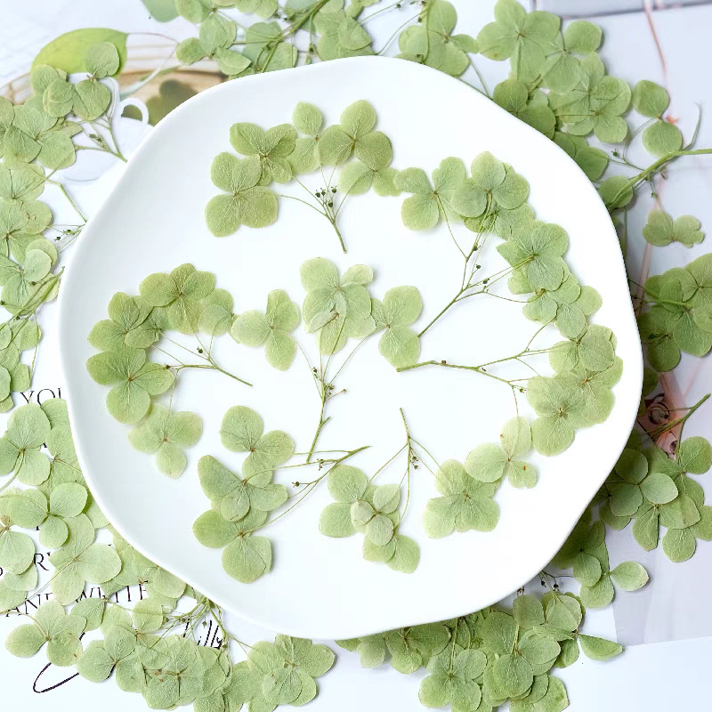 1Set Pressed Dried Multi-start Hydrangea Flower Stem For Epoxy Resin Pendant Jewelry Phone Case