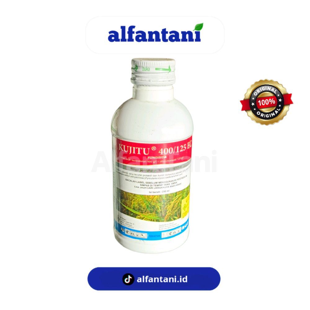Kujitu Fungisida Anti Blas Padi Atasi Semua Jamur
